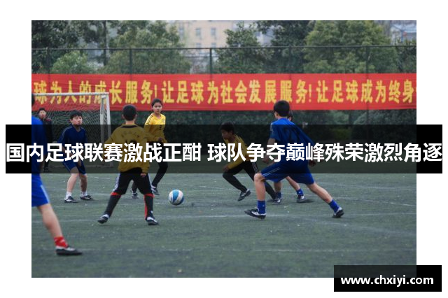 国内足球联赛激战正酣 球队争夺巅峰殊荣激烈角逐