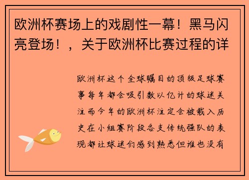 欧洲杯赛场上的戏剧性一幕！黑马闪亮登场！，关于欧洲杯比赛过程的详细解说