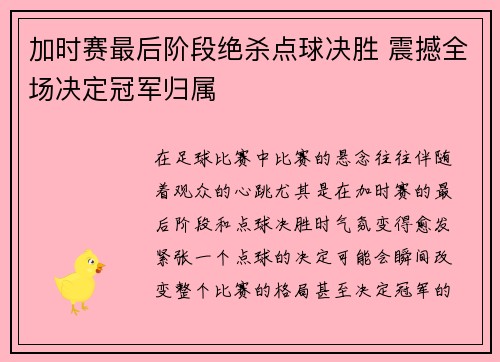 加时赛最后阶段绝杀点球决胜 震撼全场决定冠军归属