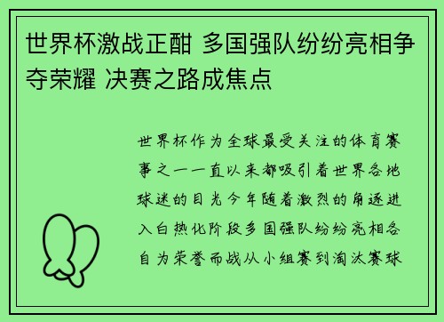 世界杯激战正酣 多国强队纷纷亮相争夺荣耀 决赛之路成焦点
