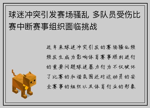球迷冲突引发赛场骚乱 多队员受伤比赛中断赛事组织面临挑战
